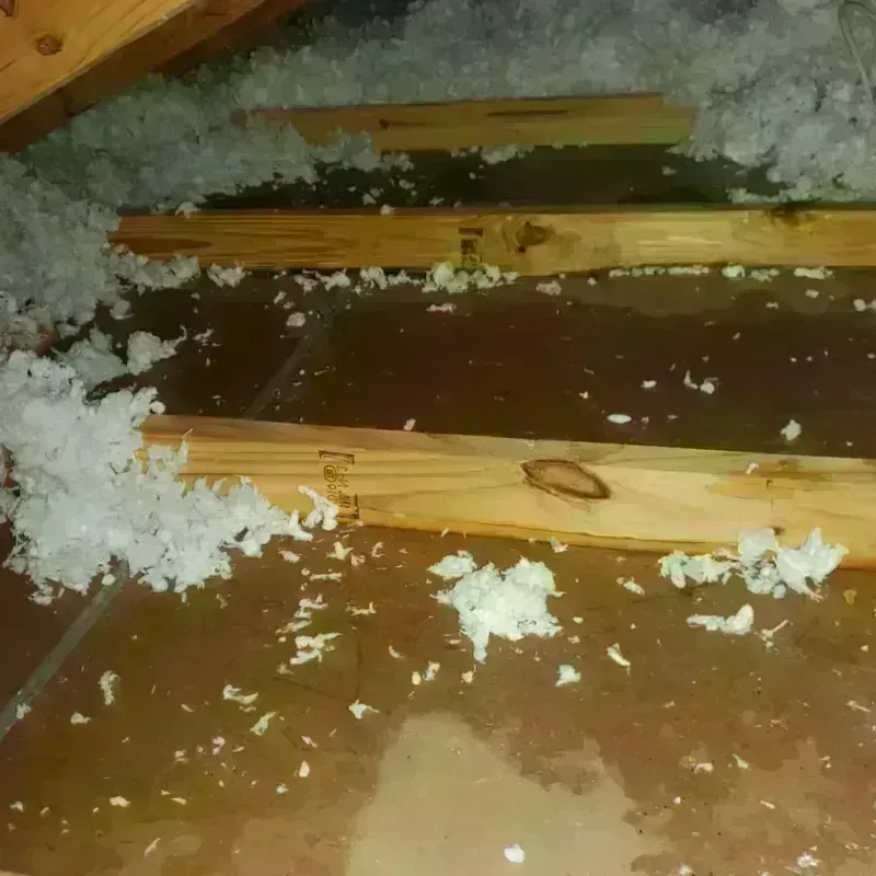 Attic Water Damage in Valley Stream, NY